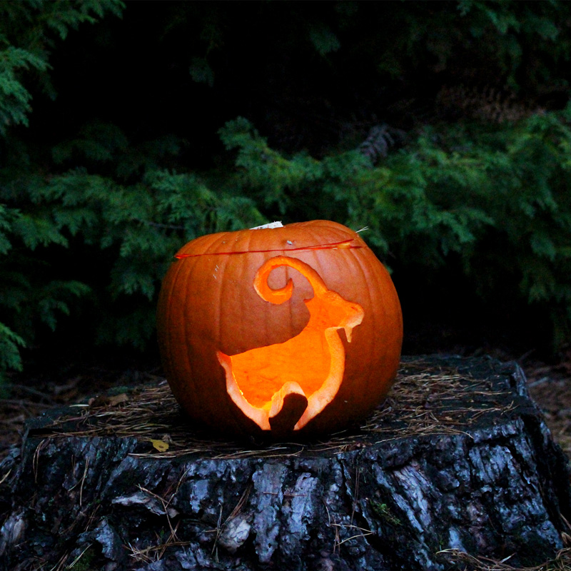 Creative Footing logo carved into a pumpkin as a festive Halloween design.