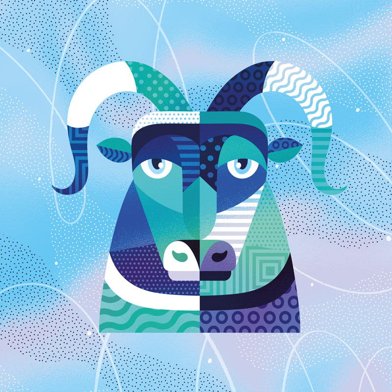A bold portrait style flat illustration of a mountain goat, using various patterns and colourful textures to enhance the illustration
